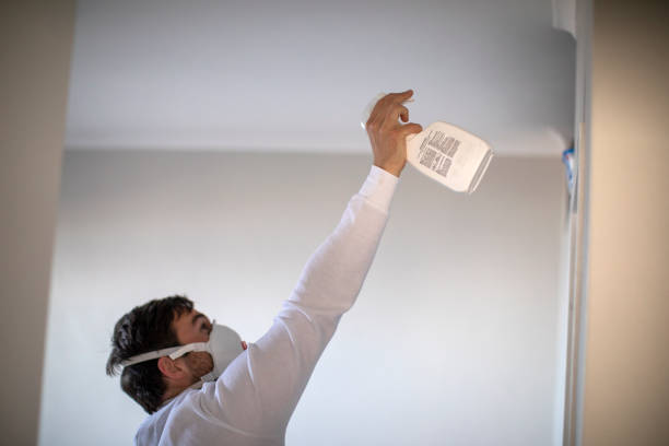 Best Emergency Mold Remediation in Coolidge, AZ