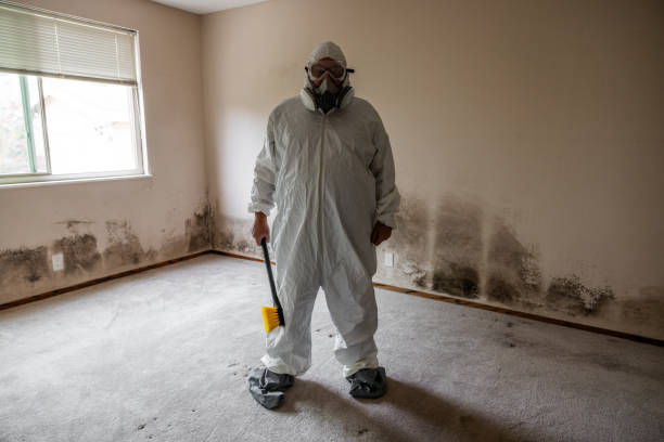 Best Commercial Mold Remediation in Coolidge, AZ